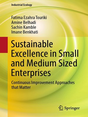 cover image of Sustainable Excellence in Small and Medium Sized Enterprises